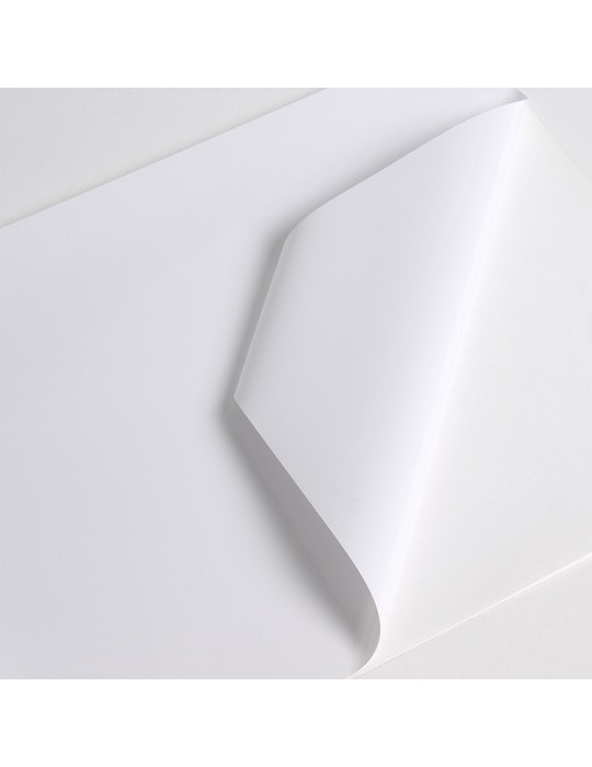 V211WG1 - Blanc Brillant adh enlevable incolore